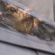 Illustration for article titled All the screen-Caps you need from the new emCaptain America 2/em trailer